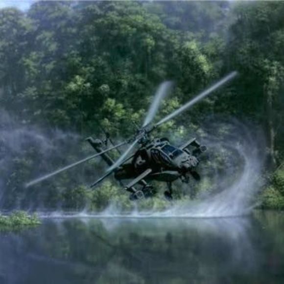 Meet your Posher, Sierra - Picture 1 of 1